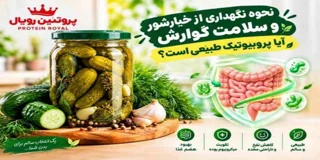 نحوه نگهداری از خیارشور، آیا پروبیوتیک طبیعی است؟
